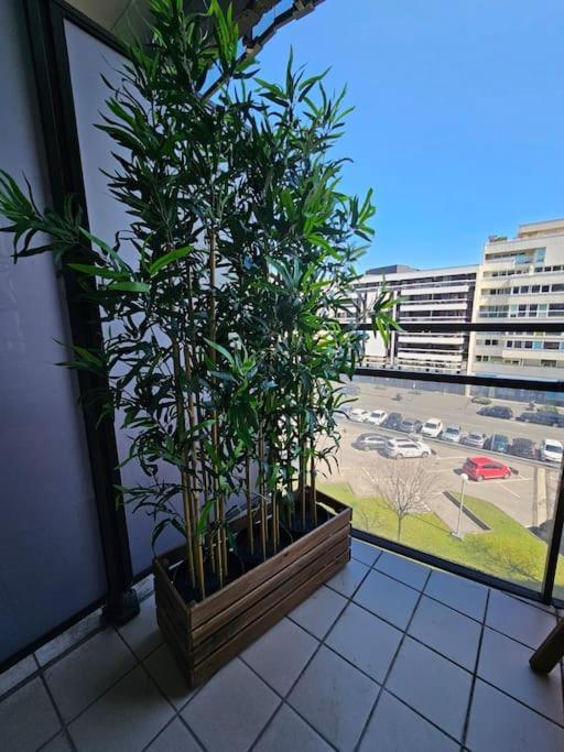 Ferienwohnung Le 19 #Terrasse#Parking Clermont-Ferrand Exterior foto